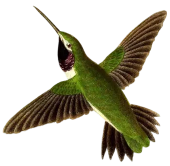 Image description